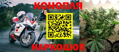 тгк Севастополь