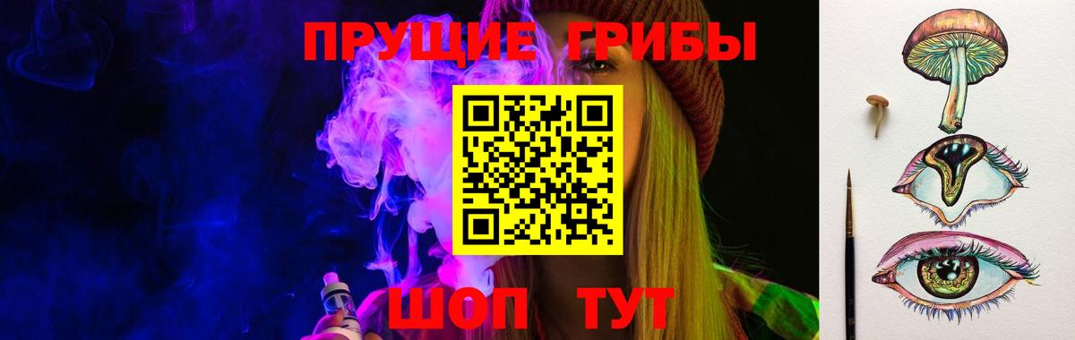 Галлюциногенные грибы Psilocybine cubensis  Вход с VPN  Отрадное 